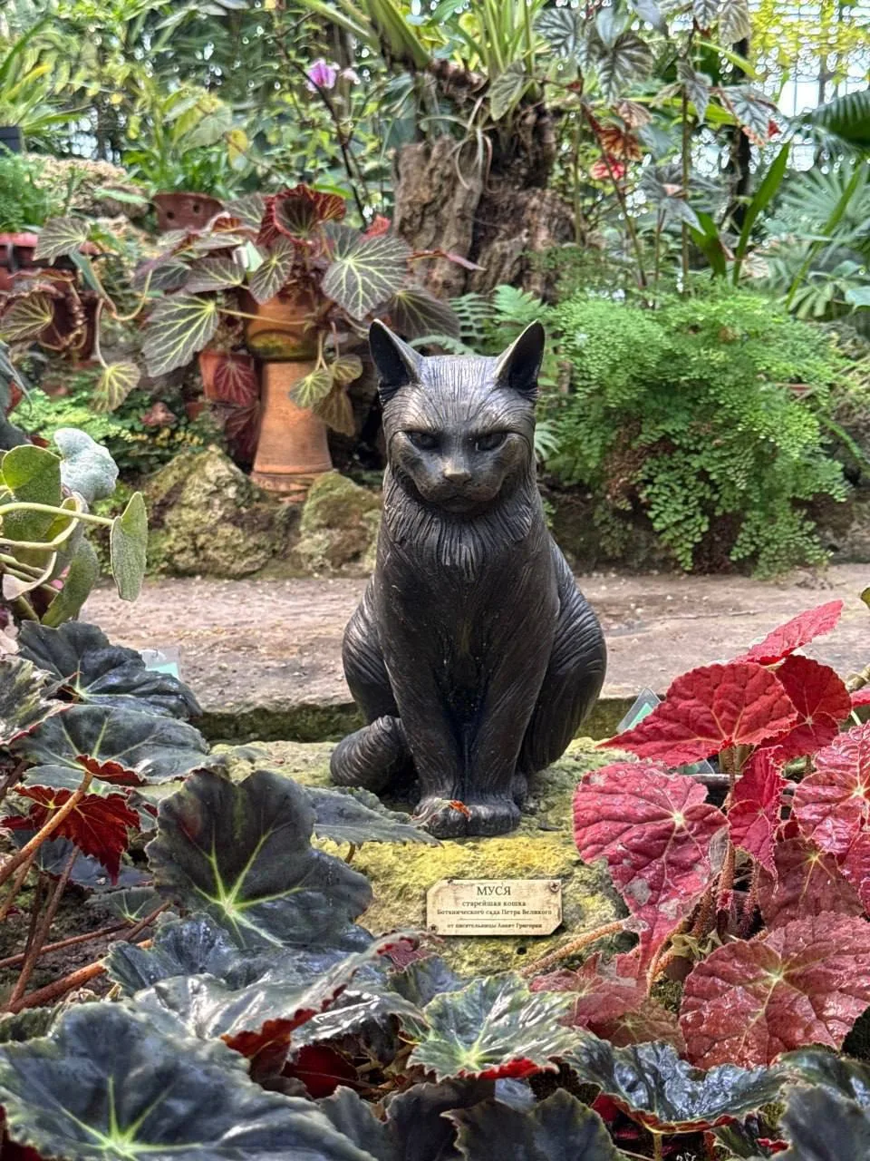 🐈 Памятник кошке Мусе в Ботаническом саду