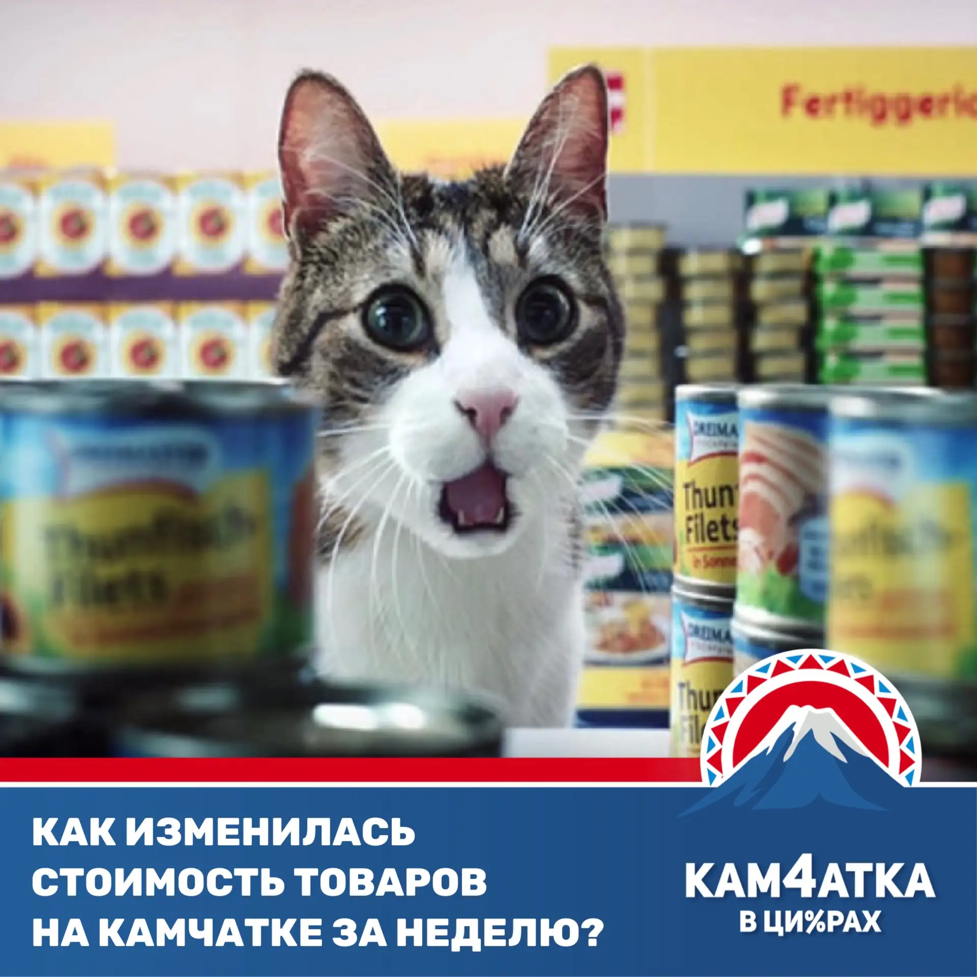 Что подорожало на Камчатке с 6 по 12 октября?