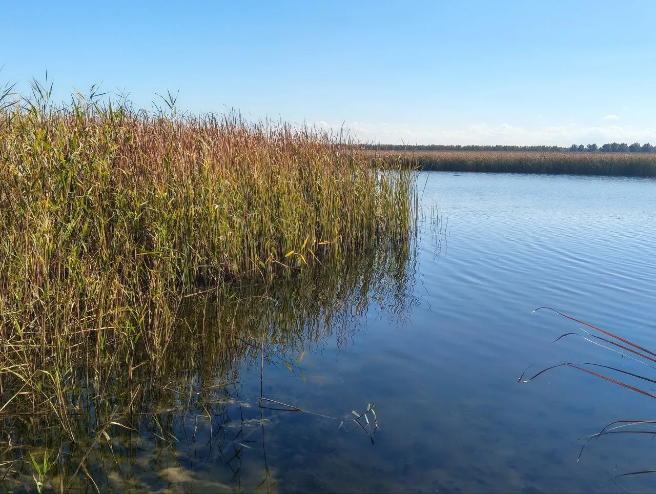 Бабье лето.. В степи около нашего села