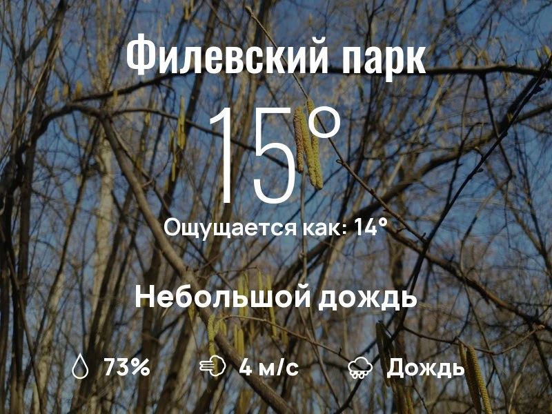 Что с погодой в Филевском парке?