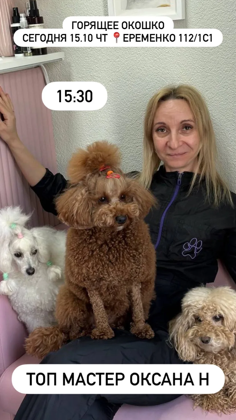 Горящее окошко на сегодня на Еременко 112/1с1🐾