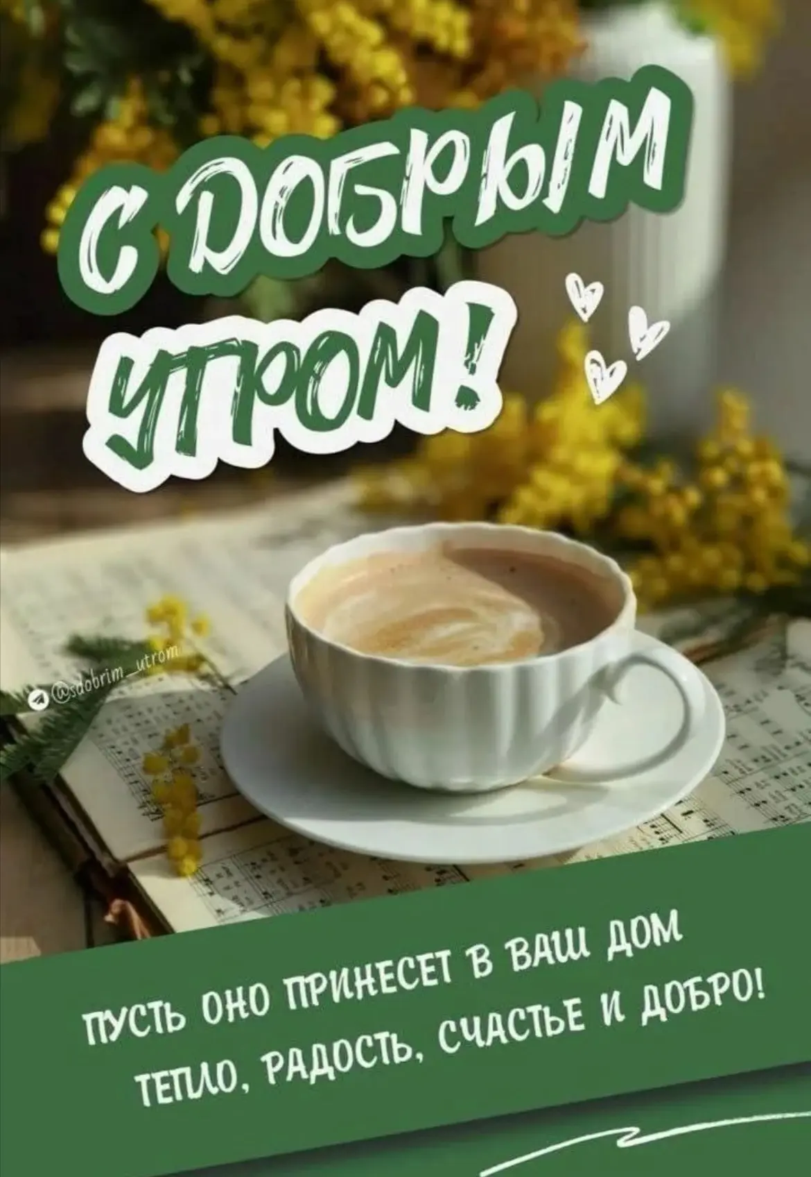 Доброго и прекрасного утра, дорогие подписчики 🌺