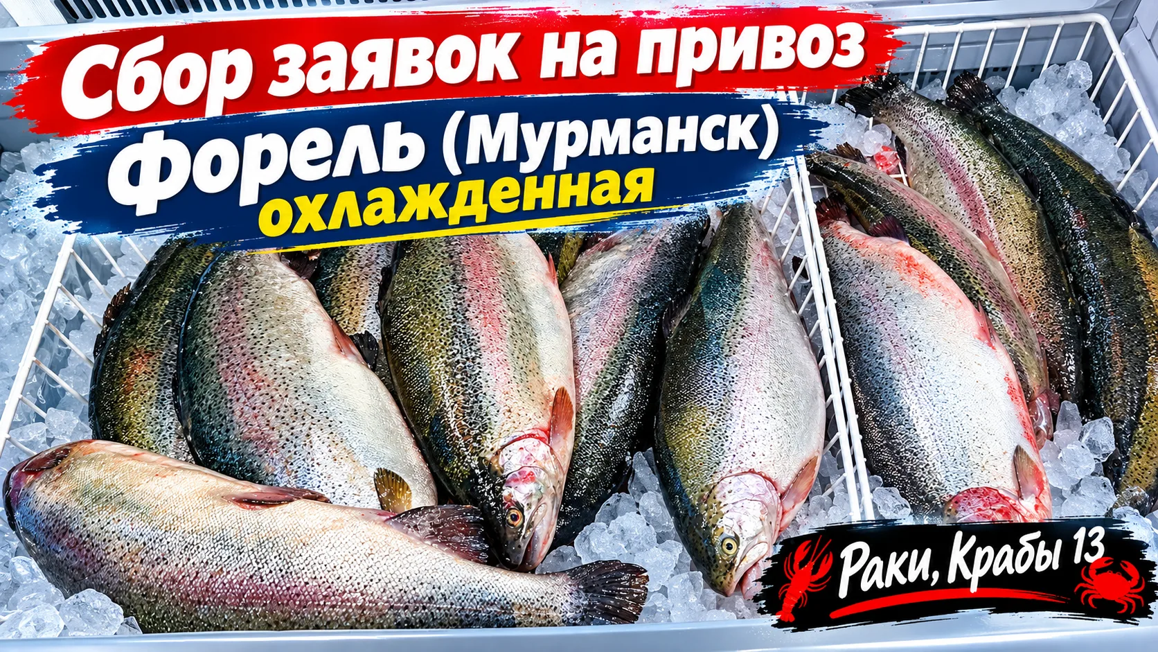 Форель из чистых вод — прямо к вашему столу! Открыт сбор заявок