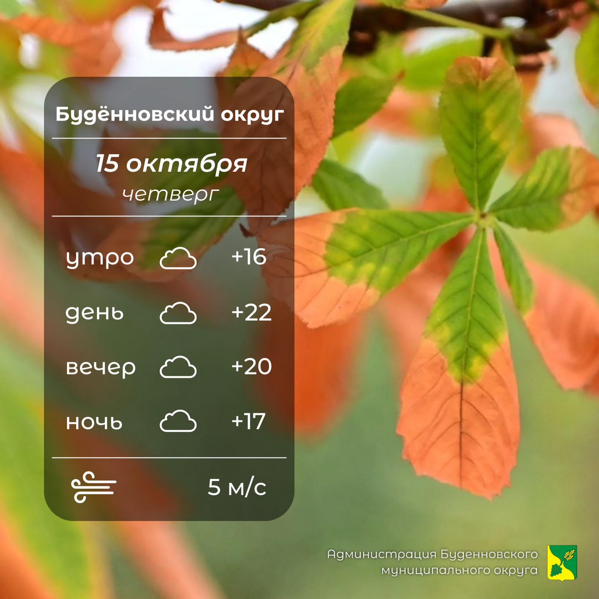 ☁️Сегодня в Буденновском округе пасмурно, без осадков. Температура воздуха +17…+22°. Сл...