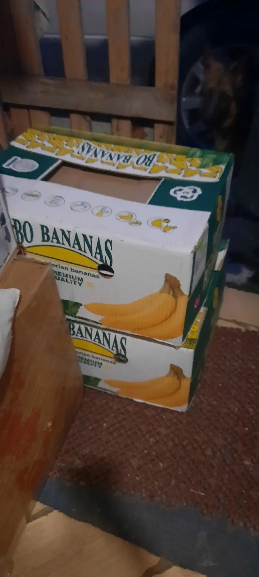 Татьяна, забрала и привезла из Керчи от Доброцена, 2 коробки продуктовой помощи.