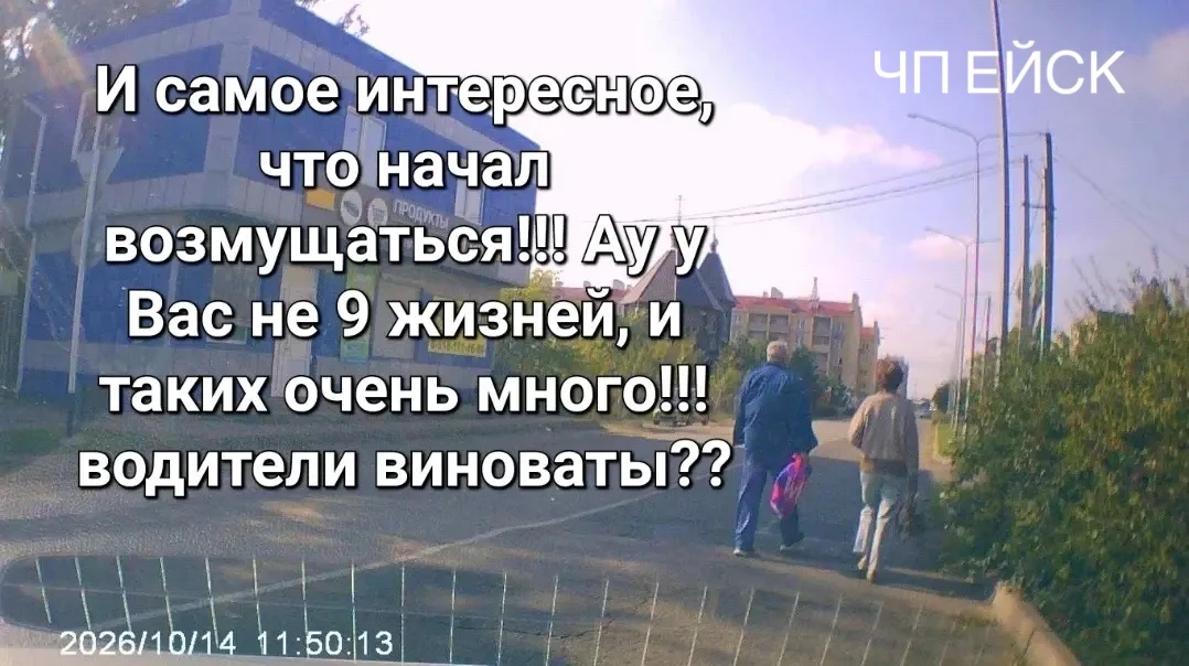 📌Коммуистическая- Казачья, уберите этот долбанный куст Администрацияяяя, там беда случ...