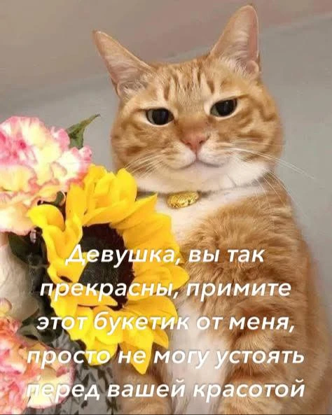 *ты знаешь, кому переслать <3