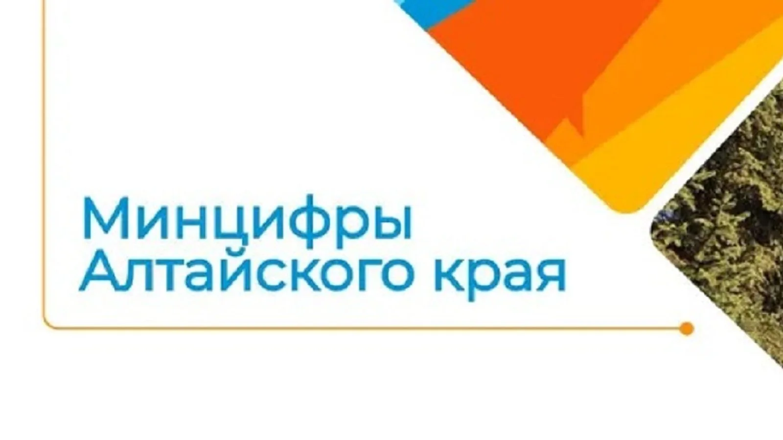 На Госуслугах запущен сервис по жизненной ситуации «Защита от мошенников в сети» Минциф...