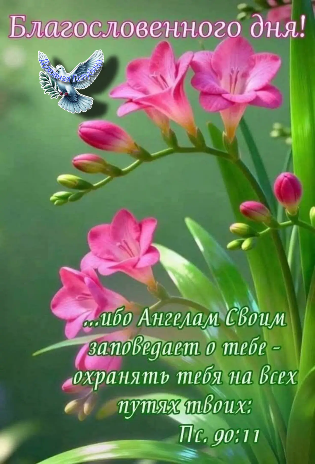 🕊️Доброе утро, близкие сердца! ❤️ Сердце всегда стремится к своему Создателю, как цвет...