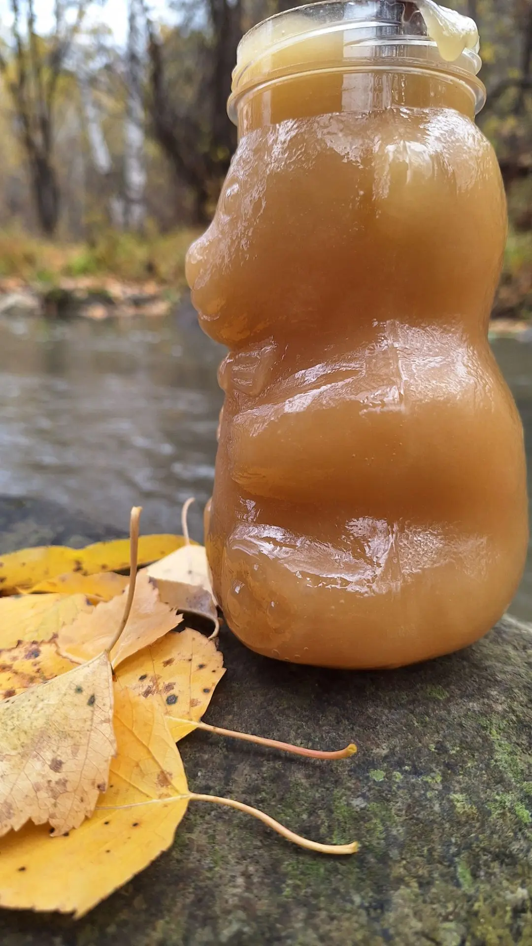 🍯 АЛТАЙСКИЙ ДОННИКОВЫЙ МЁД — ванильный аромат, собранный в предгорьях Алтая