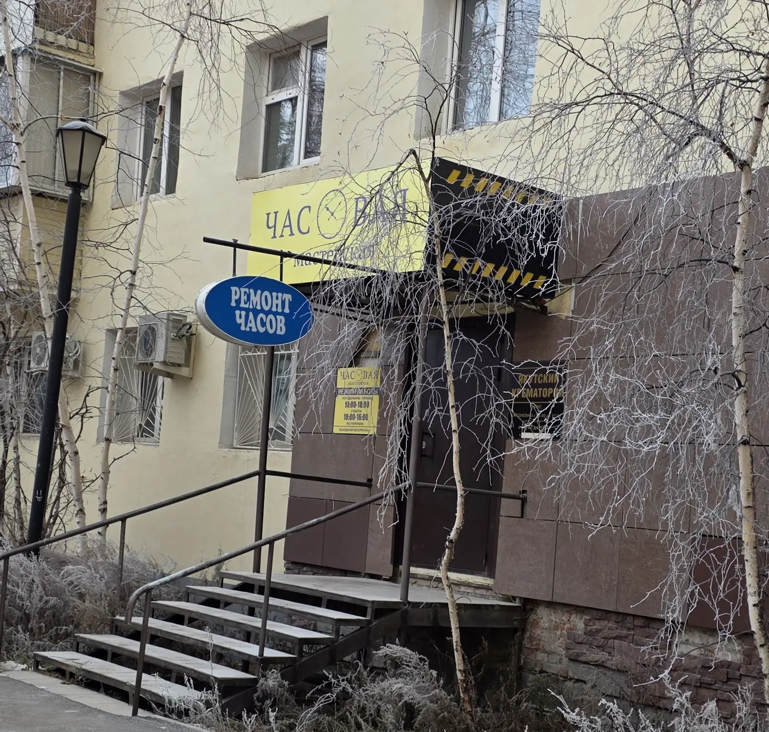 Прикольное соседство 😸