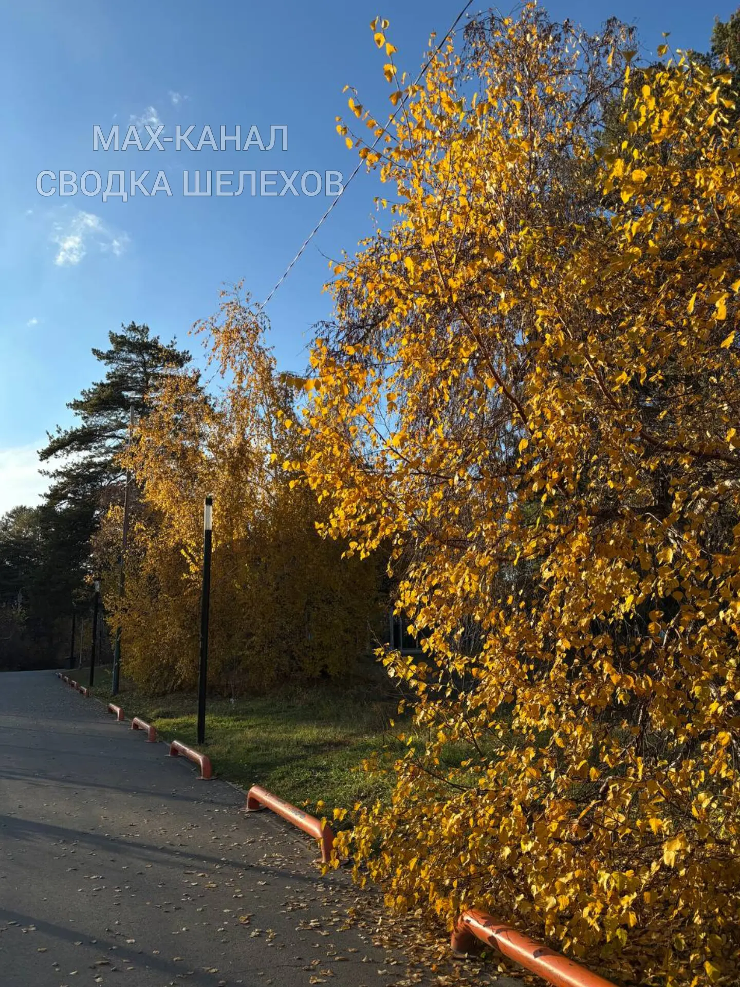 🍂 Золотая осень в Шелехове — пока она ещё здесь. Успей насладиться до первого снега ❄️