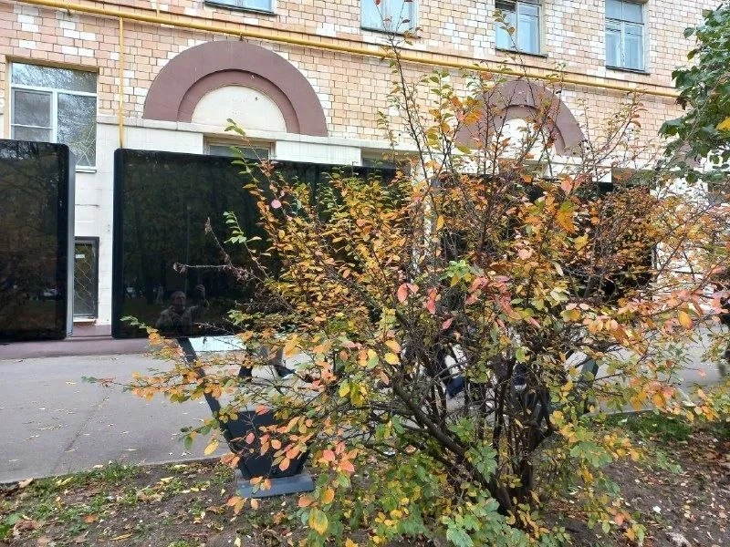 📍 Экраны на Черняховского загораживают кустарники
