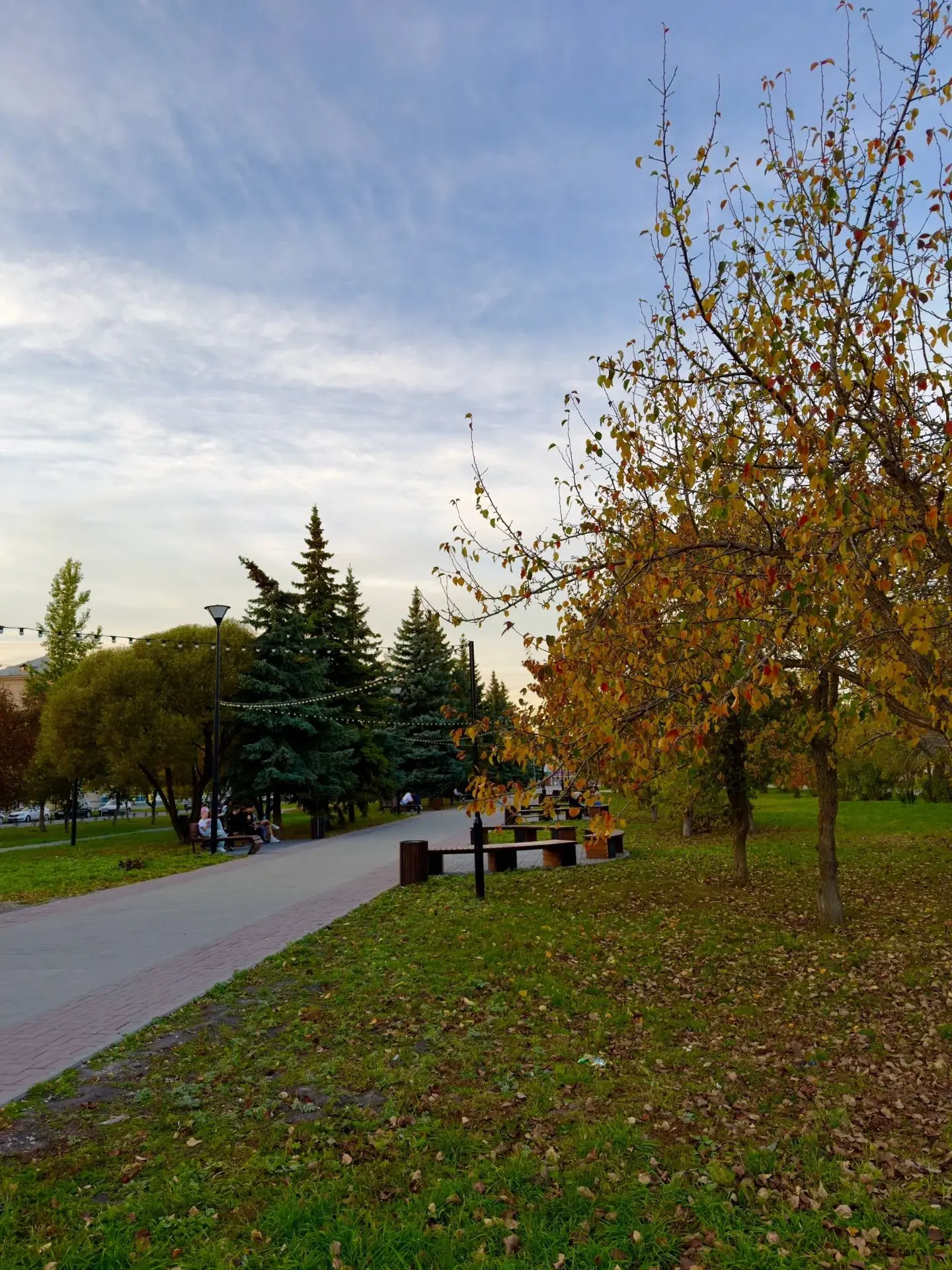 Всем самое доброе утречко! ☀️