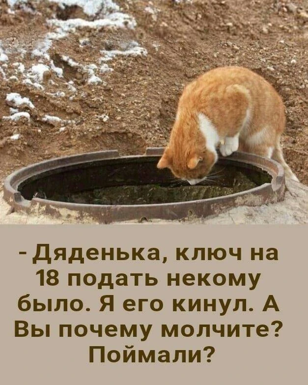 😃Картинки для настроения|👉 Подписаться