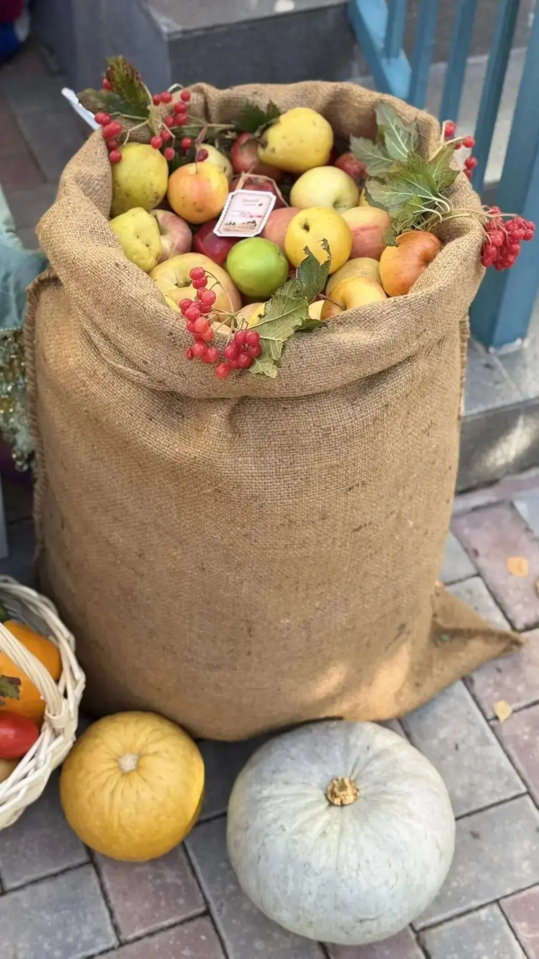 📷 Фотомоменты Осенней ярмарки 🍁🌾🍐🍉🍅🍆🥨🫙