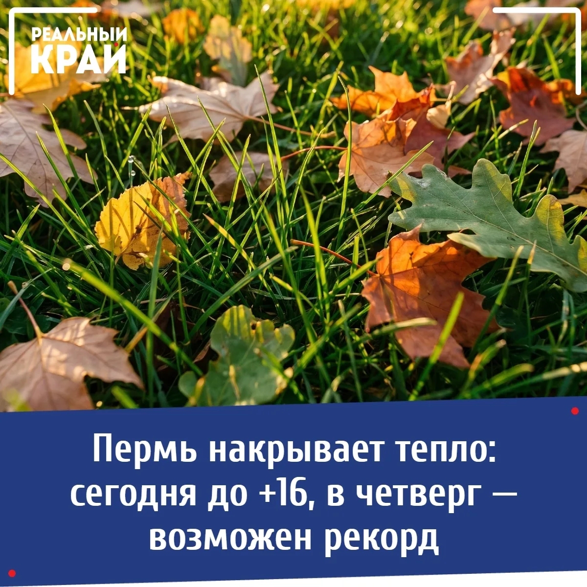 🌡 Пермь ждёт почти рекордное тепло: до +16 уже сегодня, а в четверг — возможен новый м...