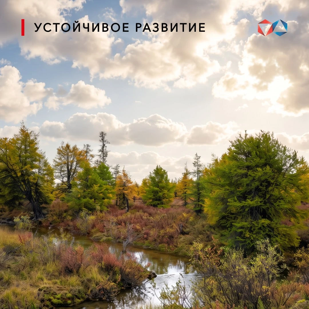 🌱«Зелёный гектар»: возвращаем природе территории промышленного освоения