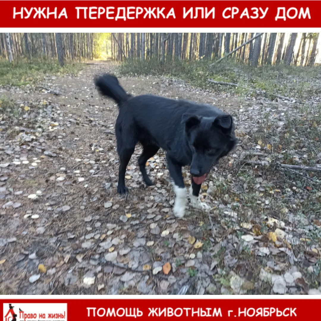 Ноябрьск!