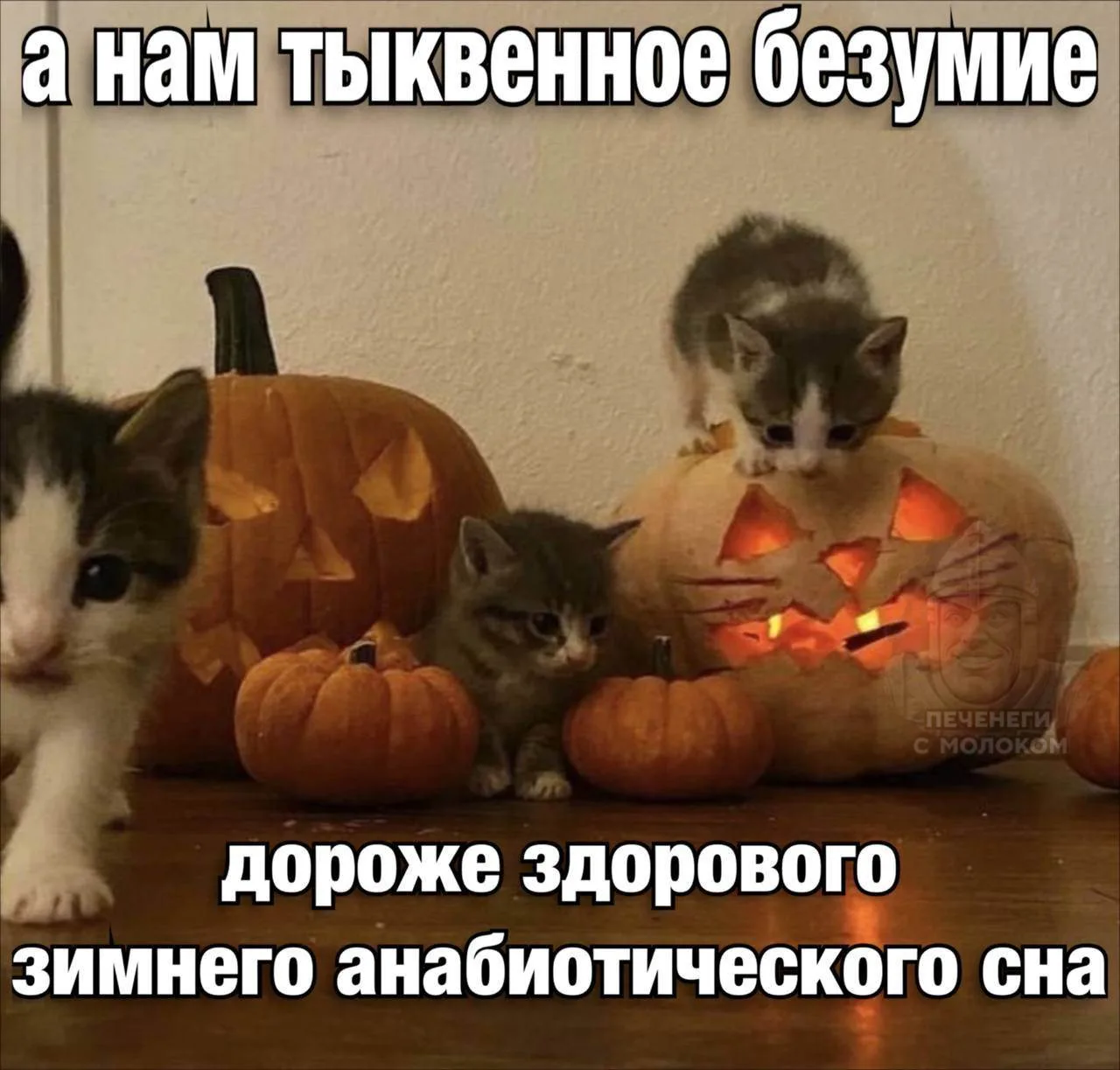 Ставь лайк! ❤️
