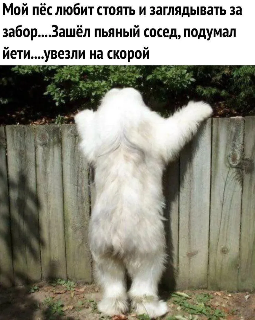 Понравился контент? Подпишись на наш второй канал MAXимально вкусно!
