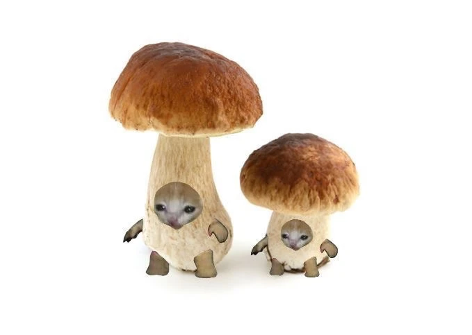 🍄 Грибной сезон? Нет, сезон вакансий!