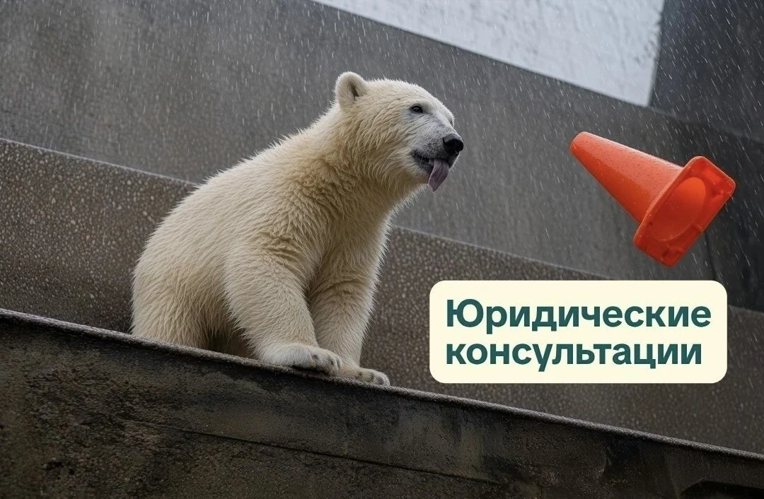В рамках Декады пожилого человека в Новосибирском зоопарке имени Р. А. Шило пройдут юри...