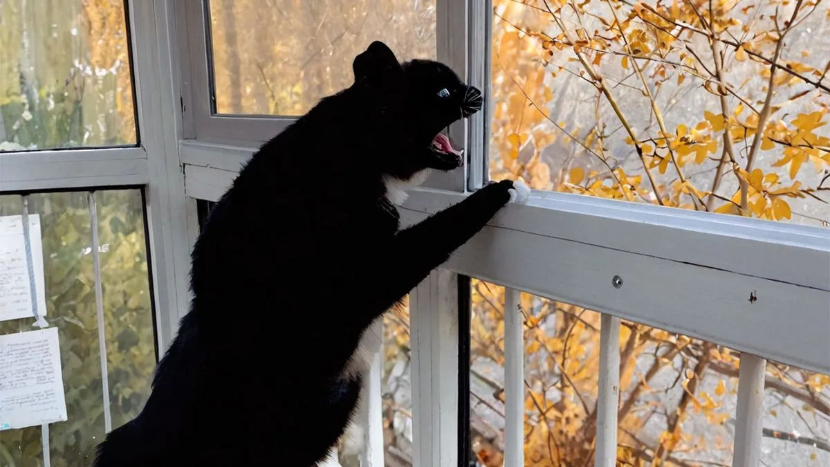 Одной женщины хватит