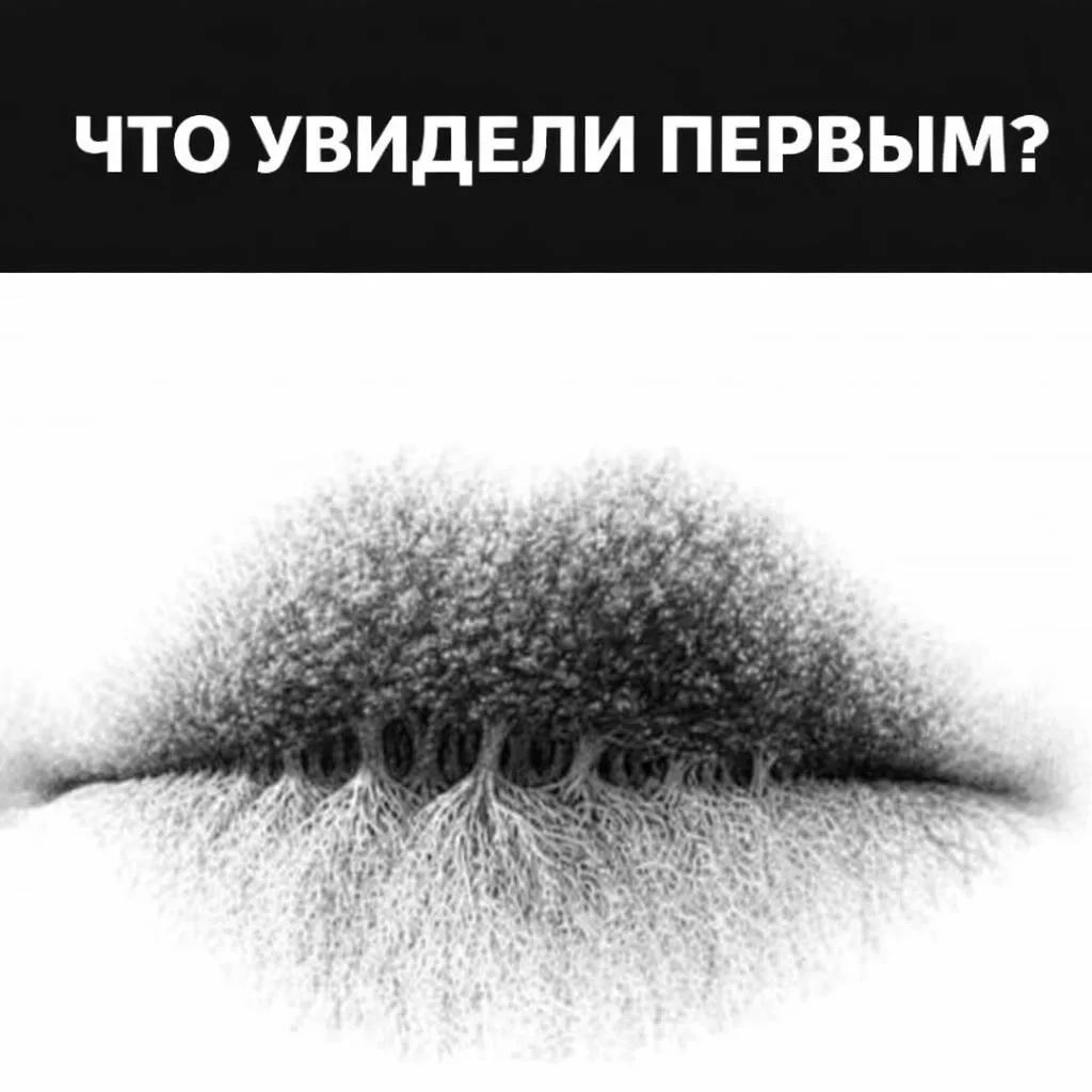 Поразительно точный тест!