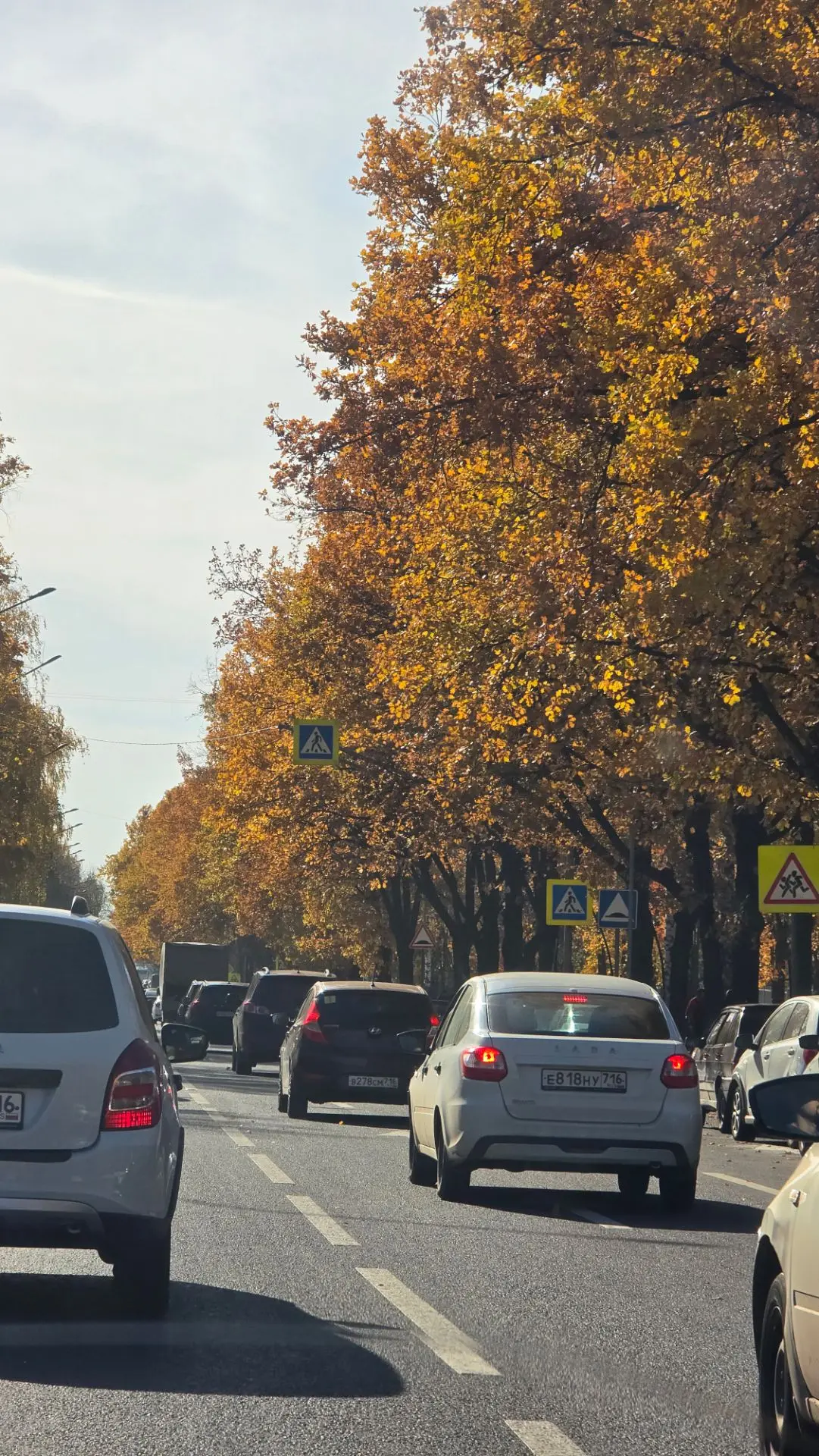 Завтра в Татарстане местами потеплеет до +24°
