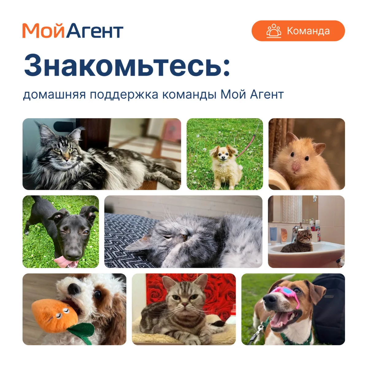 Сегодня пятница, и несмотря на всю турбулентность нашего сектора, хочется закончить раб...