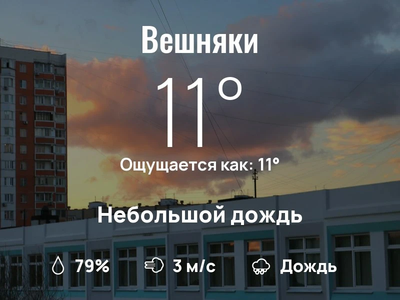 Что с погодой в Вешняках?