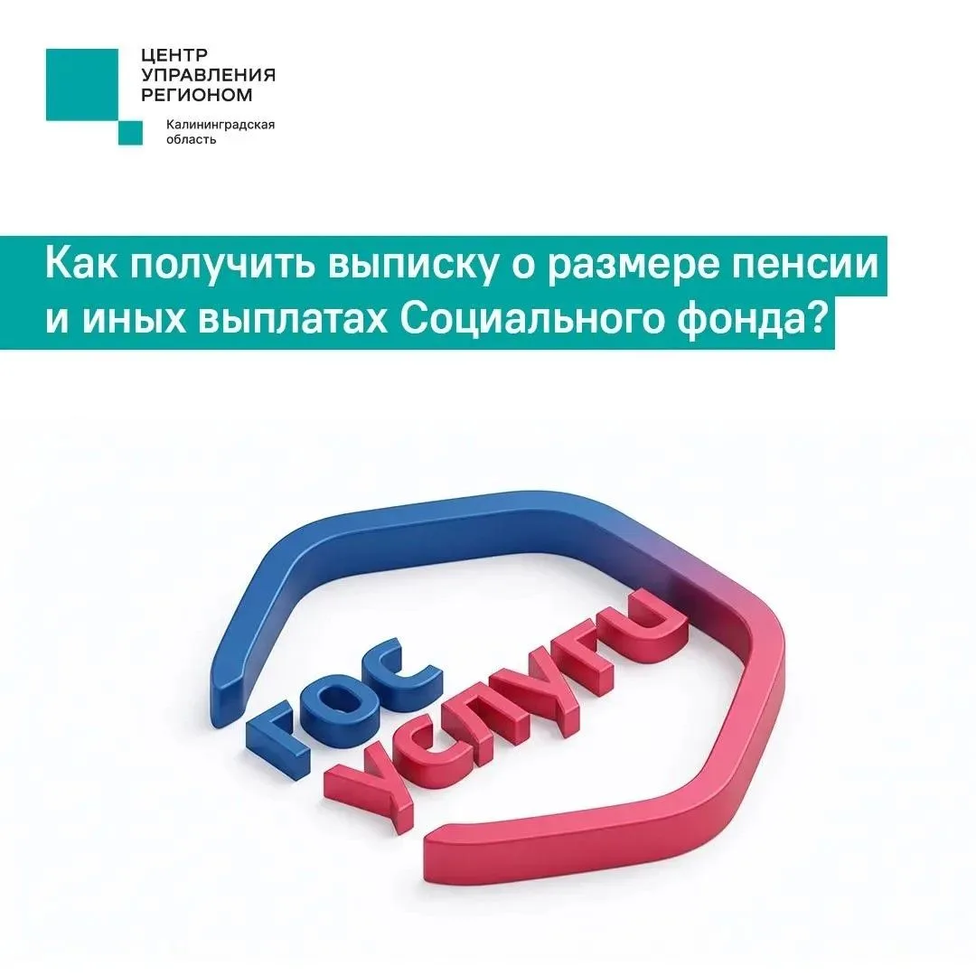 Рассказываем, как получить выписку из Социального фонда на портале «Госуслуги».