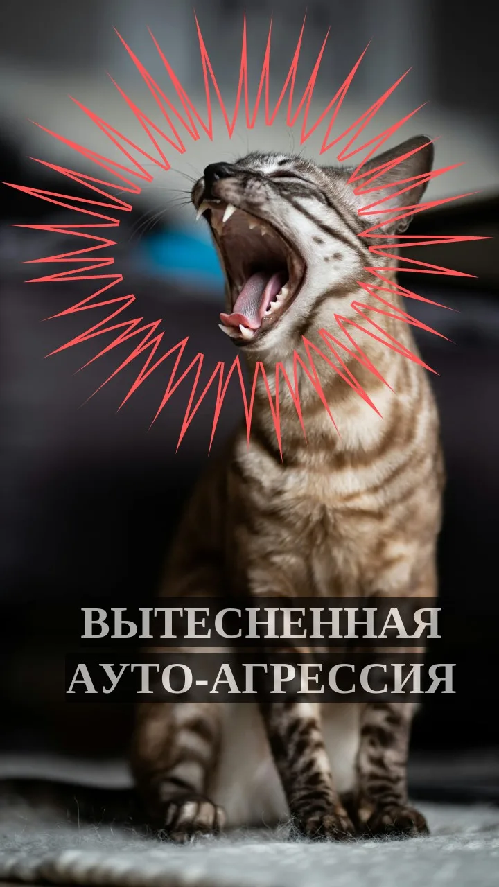 Новый клип на РУТУБ