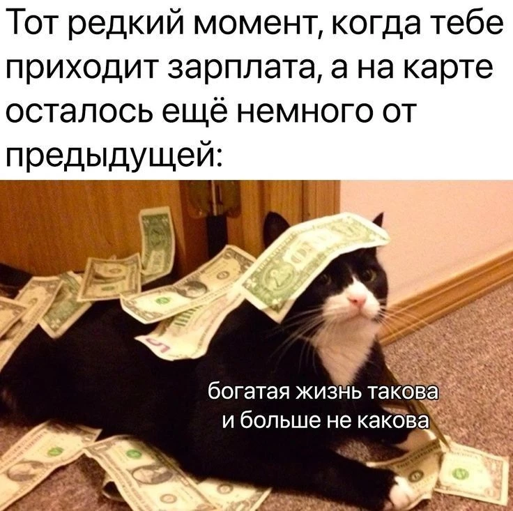 Доброго утра! Теперь вы можете оставлять в комментариях на моем канале фото! Так что те...