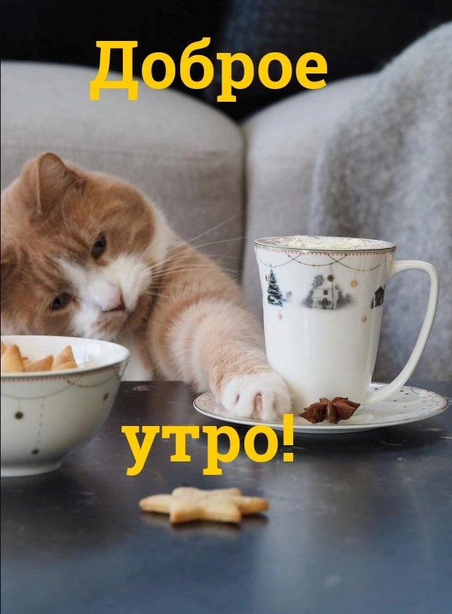 Красивые открытки❤️