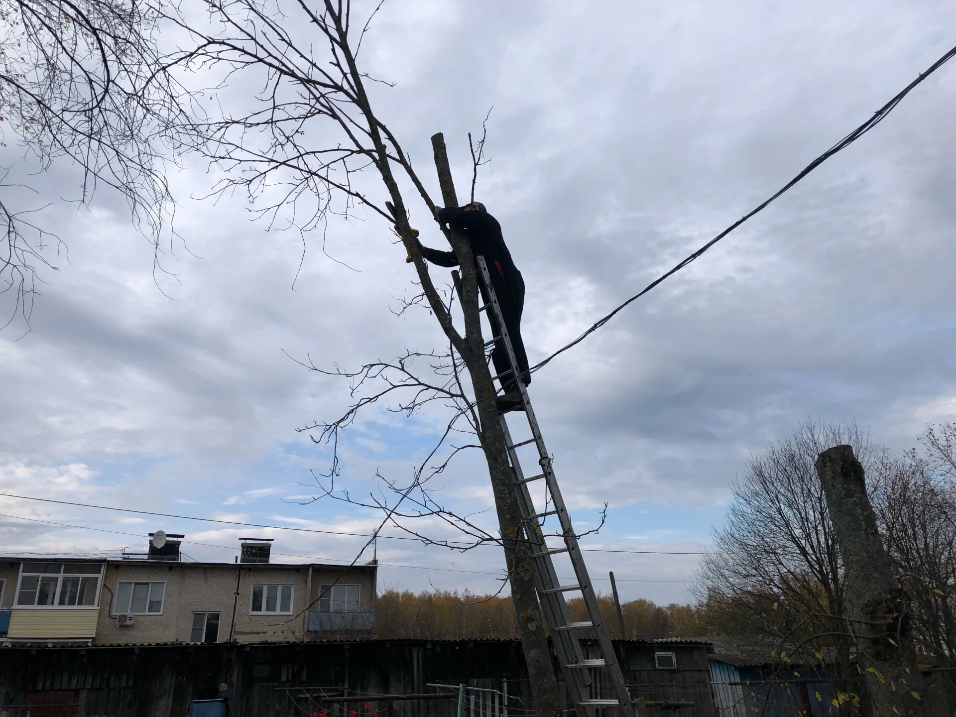 В рамках благоустройства населенных пунктов продолжается вырубка потенциально опасных д...