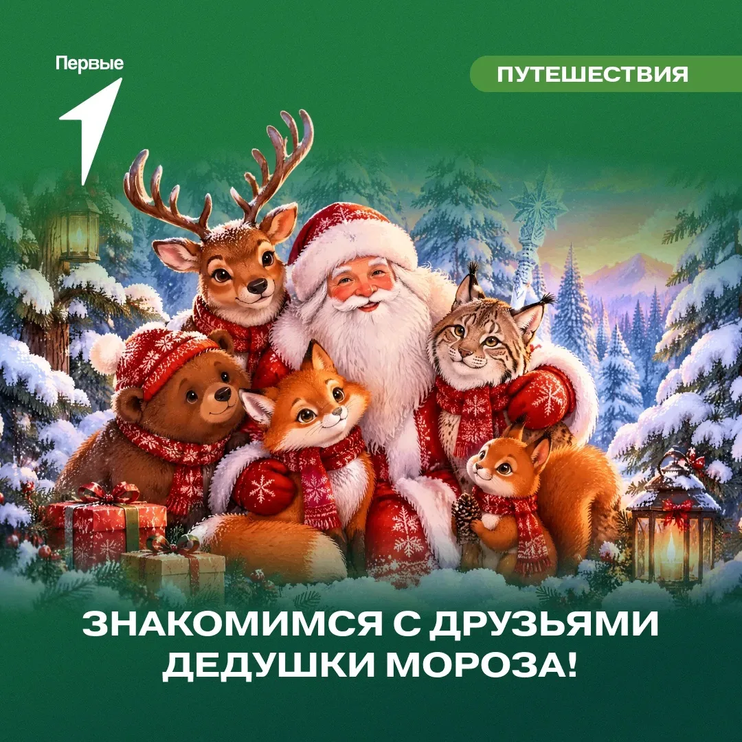 🐾 Заходите, гости дорогие!