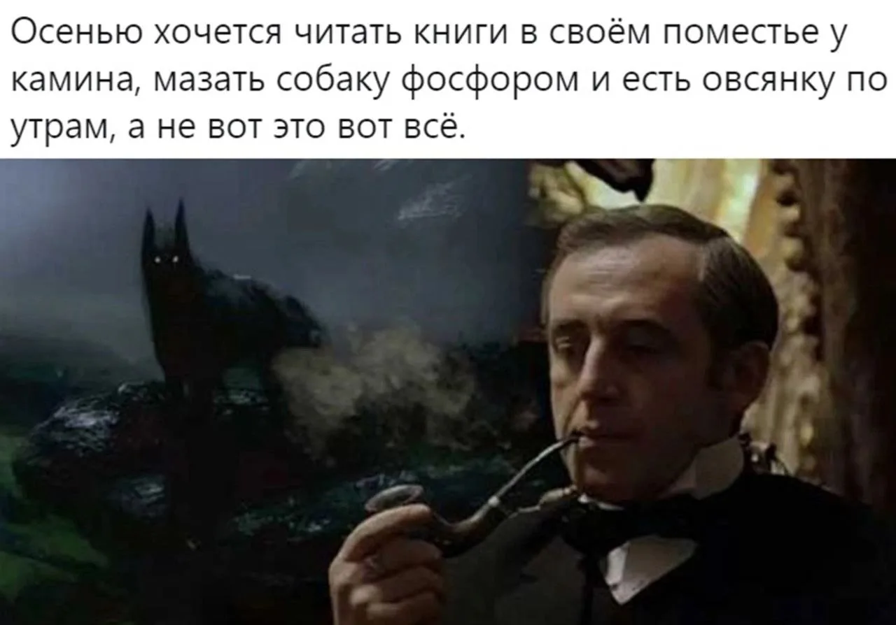 Как видим, без книг осень не засчитывается 😆🤌