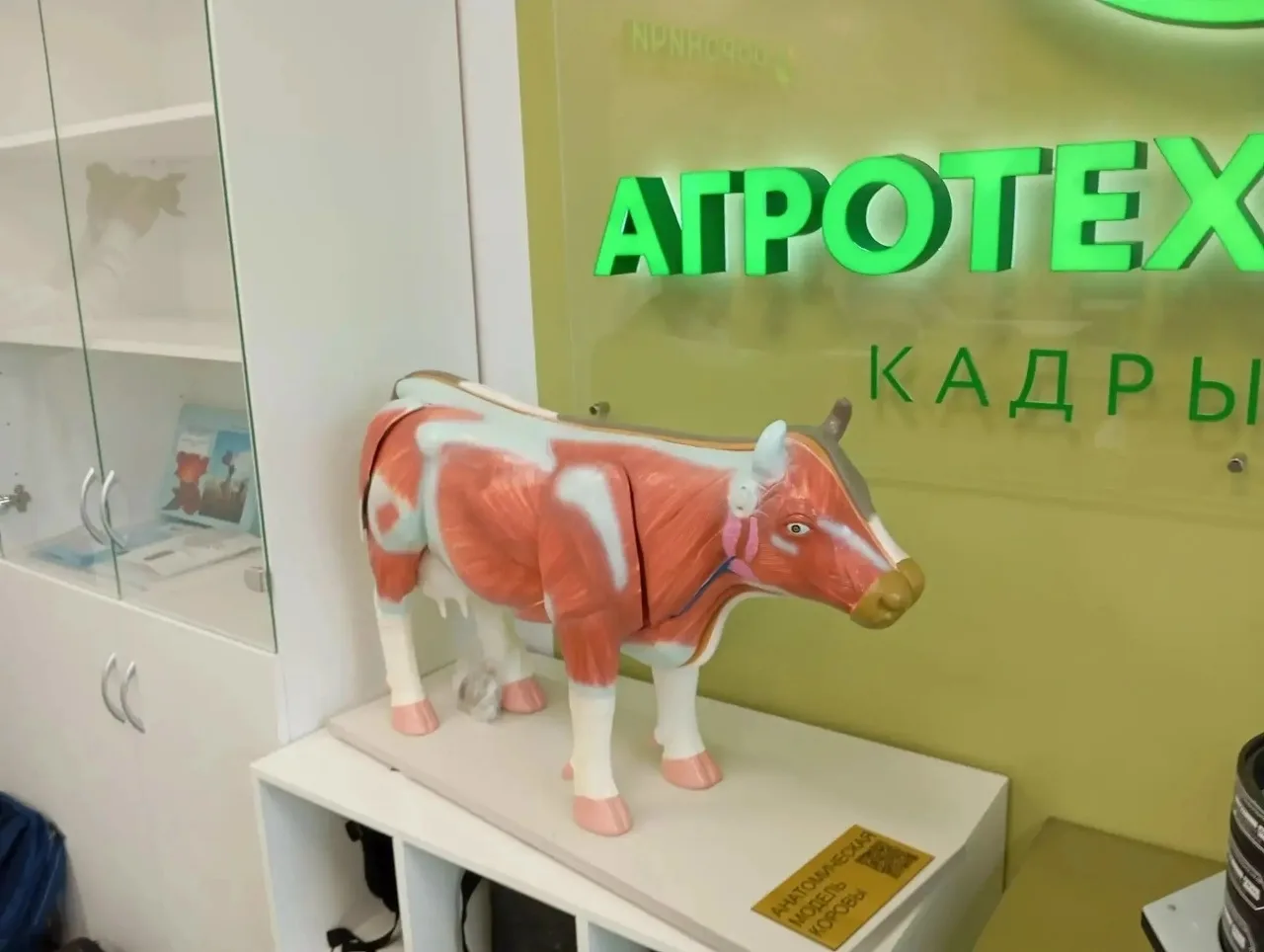🌾В школе села Каринка Кирово-Чепецкого района — новый шаг в профориентации