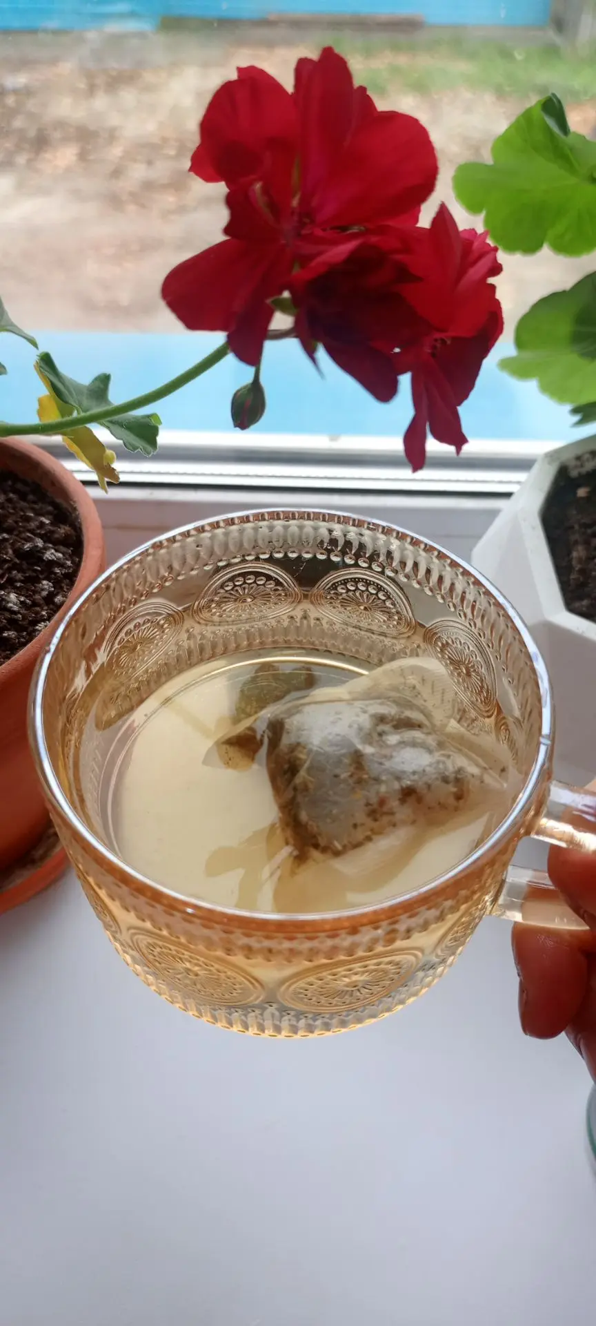 Ещё заварила себе травяной чаек 🍵 кстати тоже надо запасы пополнить