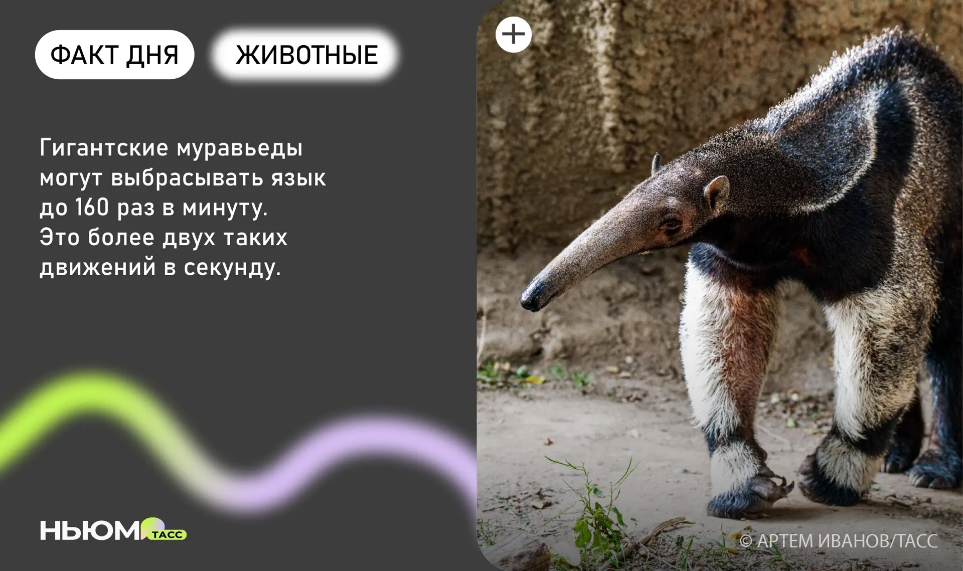Знали?