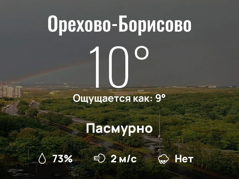 Что с погодой в Орехово-Борисово?