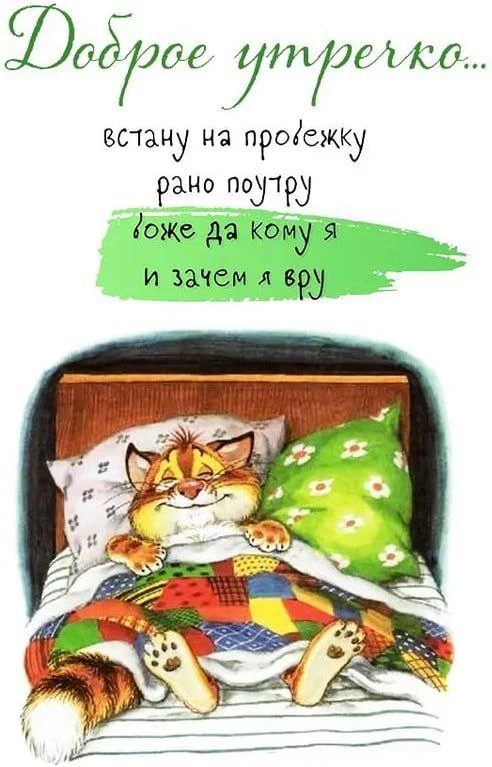 Доброе утро, мои дорогие! А есть среди нас те, кто реально, каждое утро, строго по расп...
