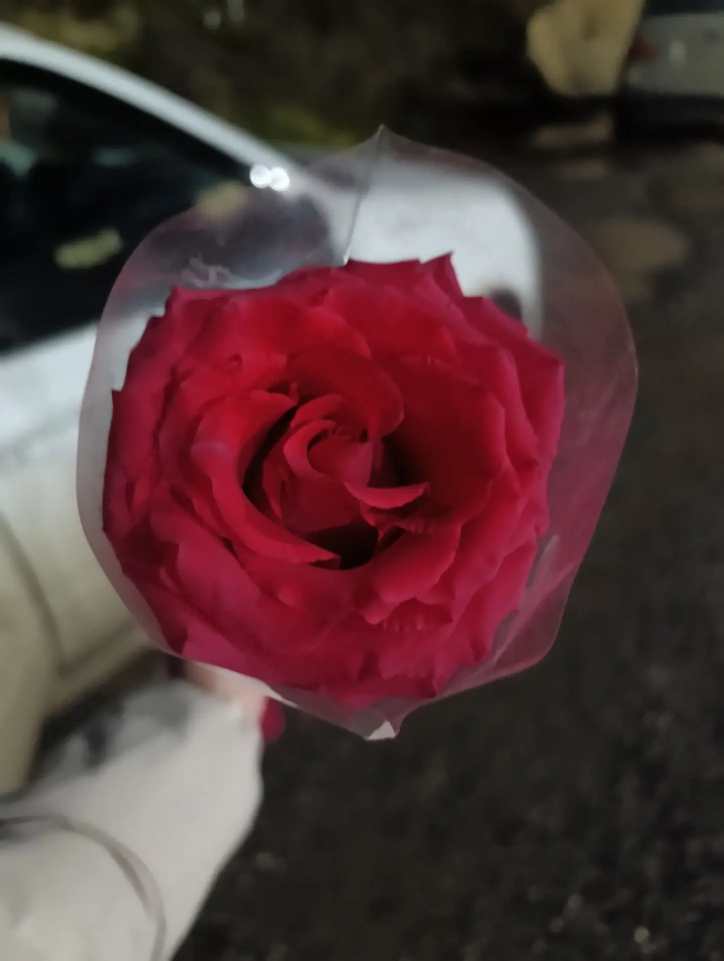 Пятница 😍. Муж с работы приехал с Розой.