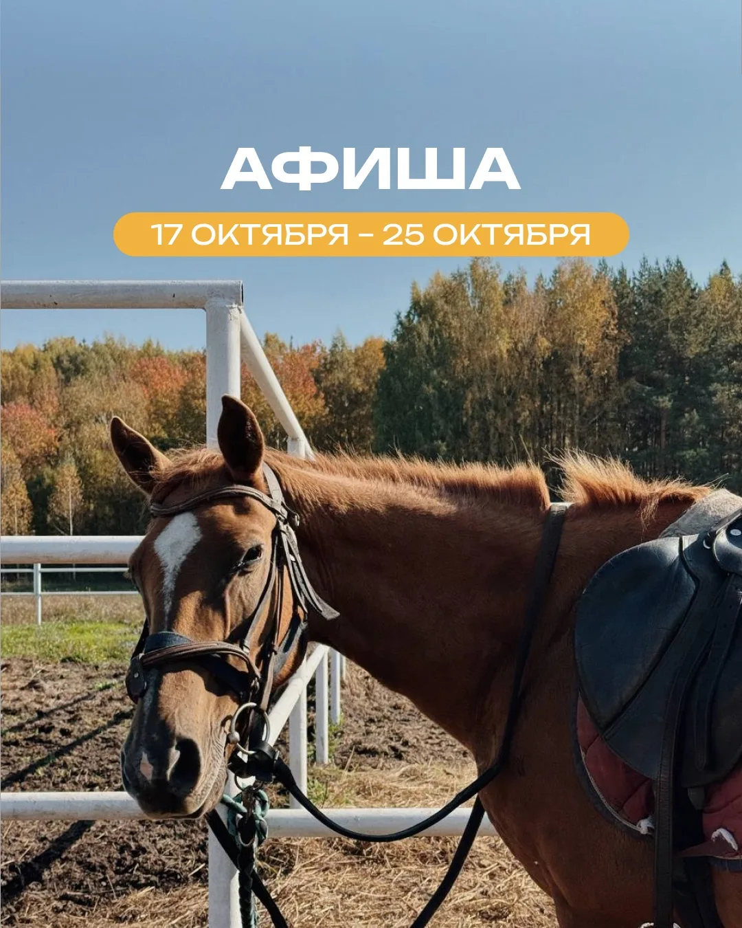 🍂 АФИША ОСЕННИХ ПРИКЛЮЧЕНИЙ