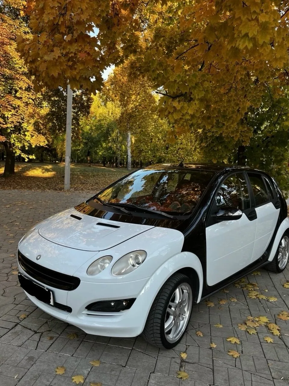 Продам Smart Forfour, 2004 г., 150 тыс. км, б/у, Донецк — 650 тыс.