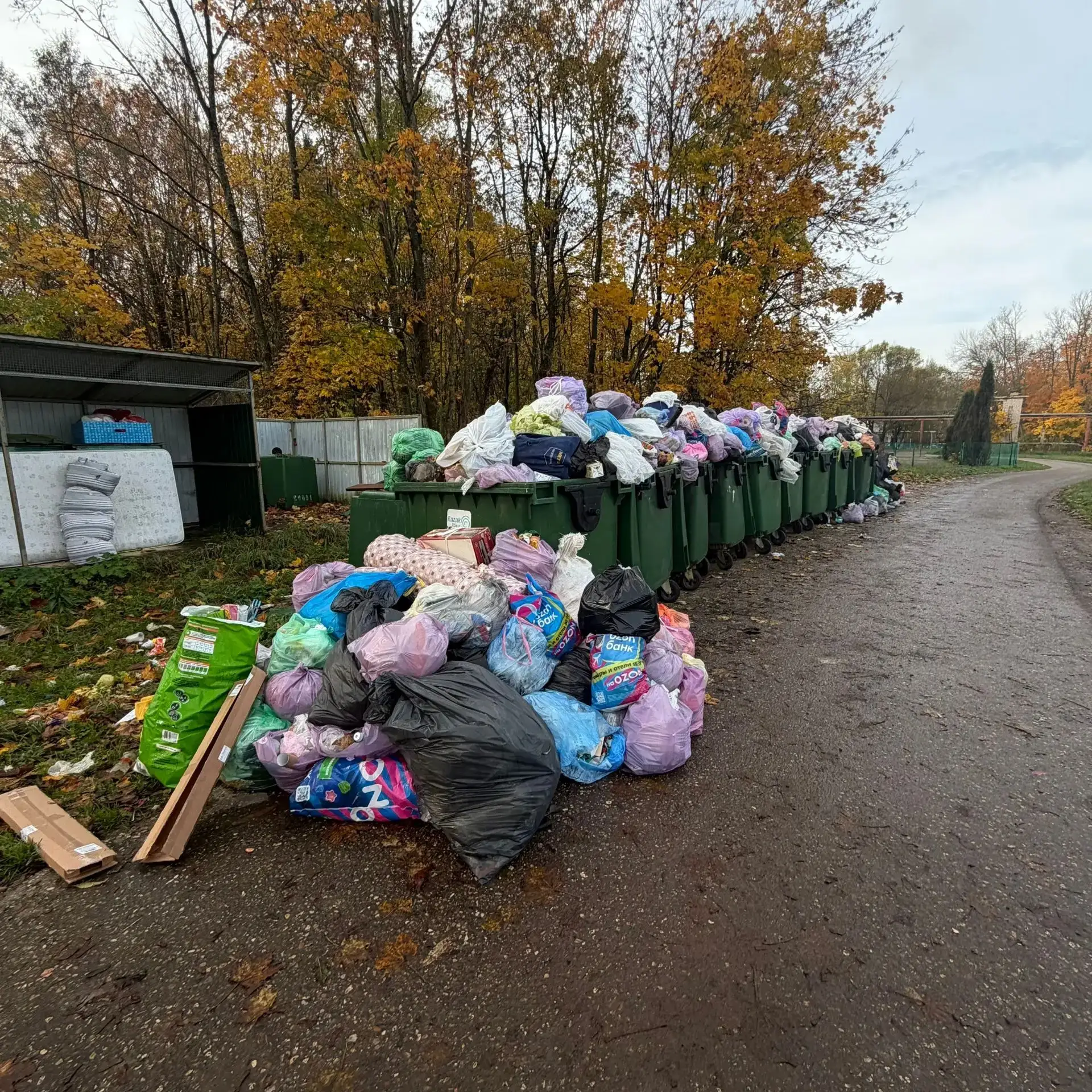 Когда уже в городе начнут нормально вывозить мусор?! За что мы каждый месяц платим по к...