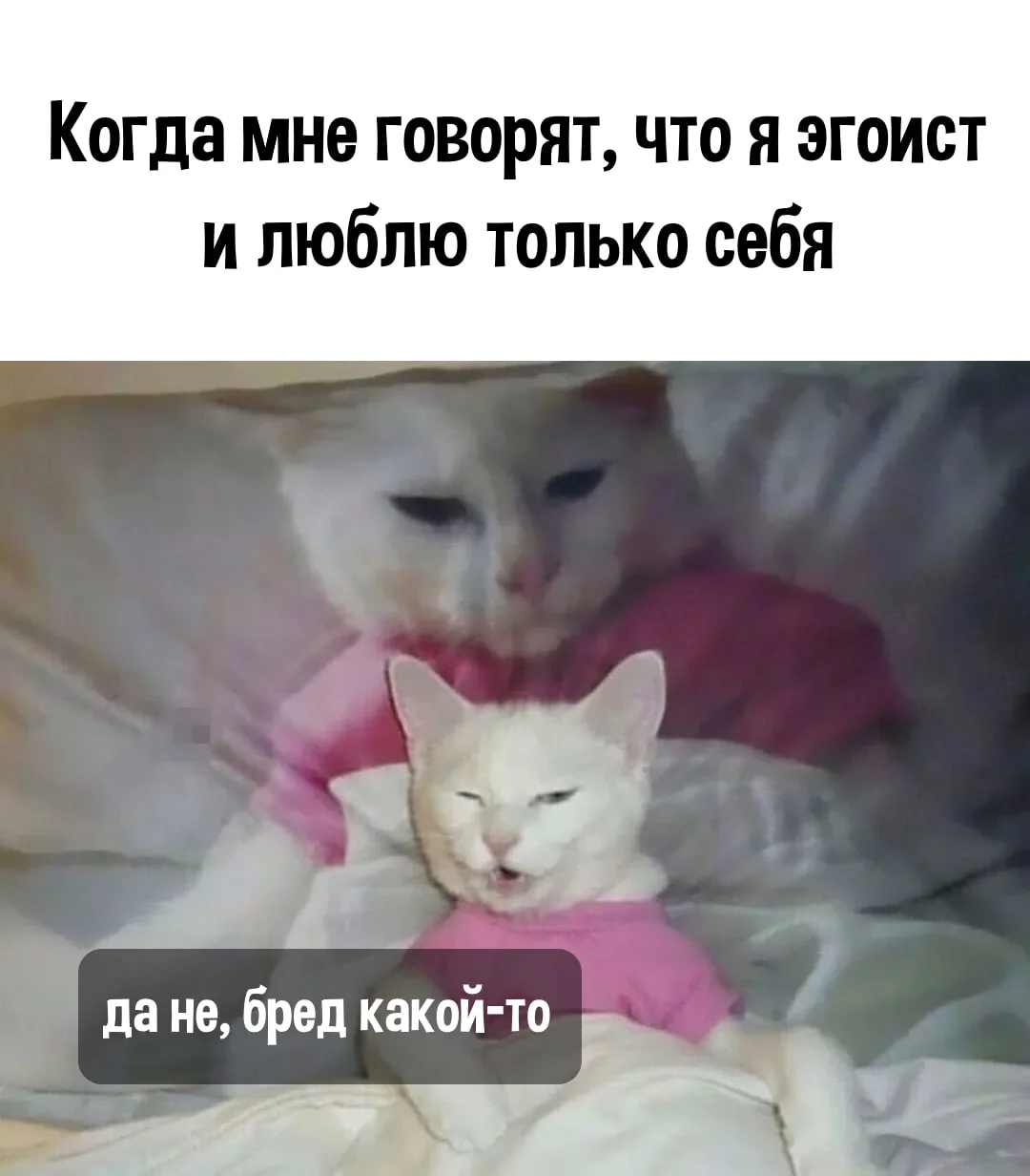 😂😂😂