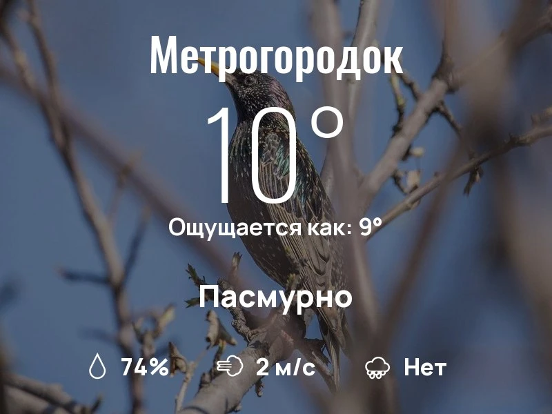 Что с погодой в Метрогородке?